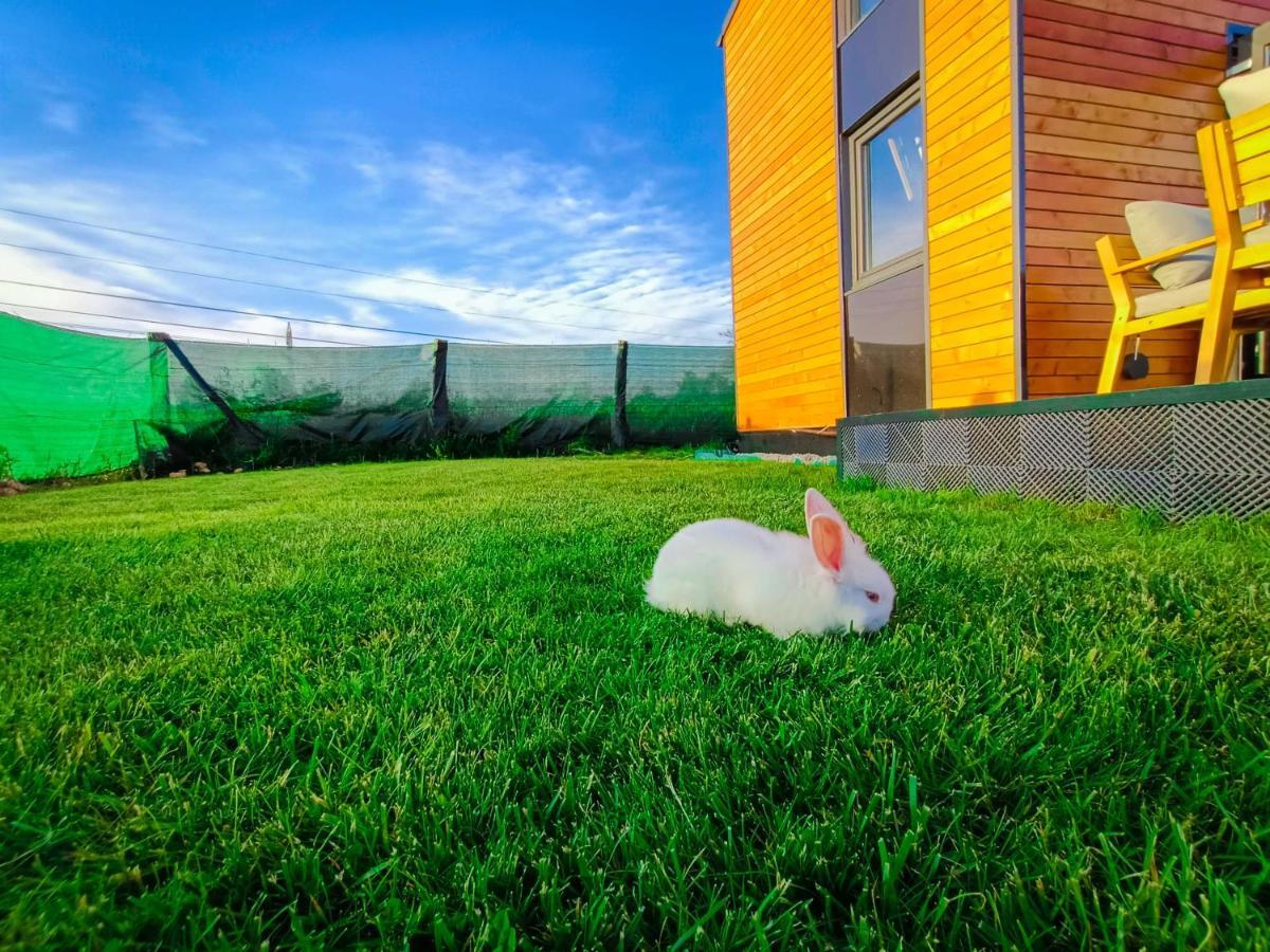 Hotel Tiny House - Baia De Fier Esterno foto