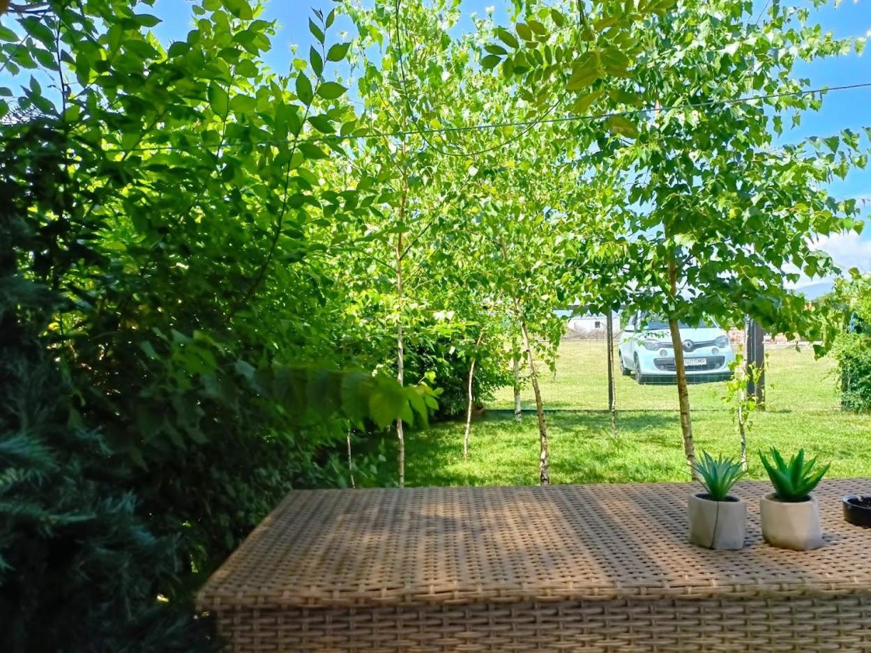 Hotel Tiny House - Baia De Fier Esterno foto